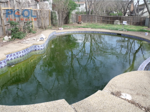 Tại sao Chlorine INDIA 70% Aquafit là lựa chọn tiết kiệm số 1 cho hồ bơi gia đình?